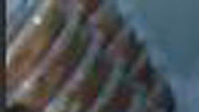 La mesera escribió esta nota al niño para saber si estaba bien.