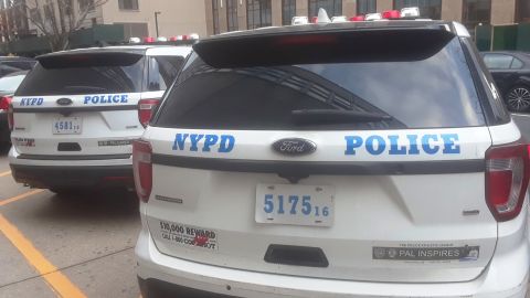 NYPD no ha anunciado arrestos.