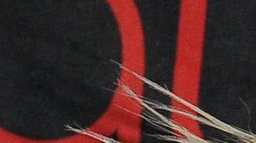 Lady Gaga y Dr. Dre.