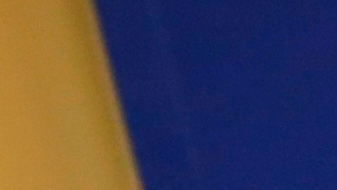 Anthony Fauci y Donald Trump