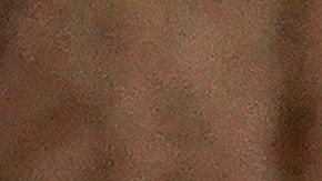 Mayorkas durante las audiencias para su confirmación.