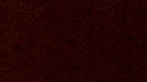 Washington (United States), 19/01/2021.- Sen. Dianne Feinstein, D-Calif., left, listens to Janet Yellen give her opening statement via videoconference during a Senate Finance Committee hearing to examine the expected nomination of Janet Yellen to be Secretary of the Treasury on Capitol Hill in Washington, DC, USA, 19 January 2021. (Abierto, Estados Unidos) EFE/EPA/Andrew Harnik / POOL POOL IMAGE