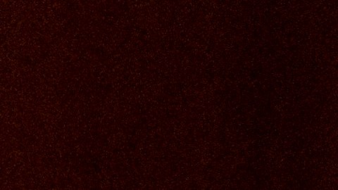 Washington (United States), 19/01/2021.- Sen. Dianne Feinstein, D-Calif., left, listens to Janet Yellen give her opening statement via videoconference during a Senate Finance Committee hearing to examine the expected nomination of Janet Yellen to be Secretary of the Treasury on Capitol Hill in Washington, DC, USA, 19 January 2021. (Abierto, Estados Unidos) EFE/EPA/Andrew Harnik / POOL POOL IMAGE