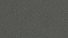 La chica pensó en esta idea para ayudar a solventar los gastos de su familia.