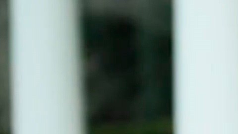 El presidente Trump ha intentado enviar mensaje de paz, pero termina con amagos de continuar su lucha.