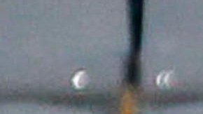 Adrien Tameze y Zaccagni celebran el gol más bello en lo que va del año.