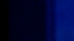 Joe Biden Kamala Harris