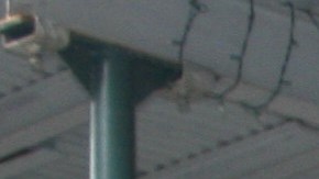 •	El centro de vacunación en el ‘Armory’, en Washington Heights, fue abierto el pasado 14 de enero.