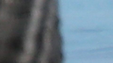 Photo © 2021 Backgrid/The Grosby Group

TURKS AND CAICOS ISLANDS

PREMIUM-EXCLUSIVE

Jennifer Lopez puts her figure on full display as she goes paddle-boarding after a calming meditation session on the beach in Turks and Caicos Islands.

Pictured: Jennifer Lopez

6 JANUARY 2021