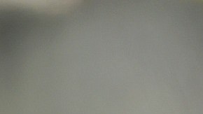 Será la segunda representación de Colombia en la Serie del Caribe.