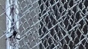 Dudas y temores entre padres sobre futuro de las escuelas en NYC por aumento de contagios del COVID