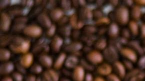 La cafeína es un estimulante, aumenta los niveles de alerta y la capacidad de concentración.