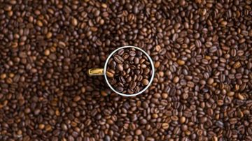 La cafeína es un estimulante, aumenta los niveles de alerta y la capacidad de concentración.