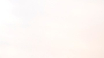 Los dátiles son dulces, ricos en fibra y antioxidantes.