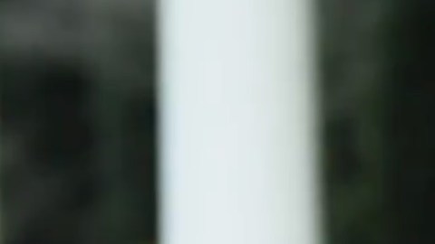 Donald Trump envió mensaje a sus seguidores.