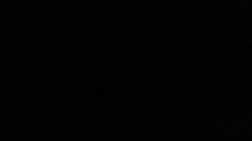 El empresario Elon Musk y el senador Bernie Sanders.