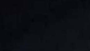 FOTOS: Hallan "narcoburros" en la frontera, llevaban droga con valor de más de $31 dólares