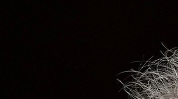 El senador demócrata Tim Kaine.