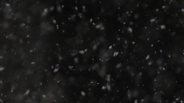 Se espera una acumulación de hasta tres pulgadas de nieve.
