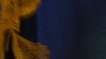 El presidente electo completó su lista de nominados este viernes agregando a otra latina.