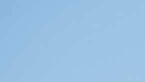 El senador Bernie Sanders.