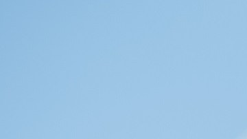 El senador Bernie Sanders.