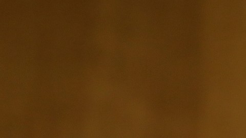 El demócrata Bob Menéndez impulsará en el Senado la reforma migratoria de Biden.