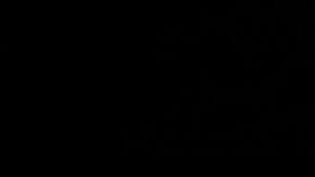 El dinero si puede comprar la felicidad