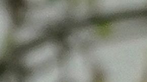 Kohls, Bed Bath & Beyond, H-E-B entre otras cadenas de minoristas dejarán de vender productos MyPillow