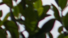 SpaceX compra dos antiguas plataformas para construir bases de lanzamiento flotantes