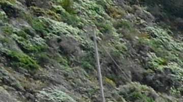 El puente Bixby Creek del Highway 1 cerca de Big Sur, California.