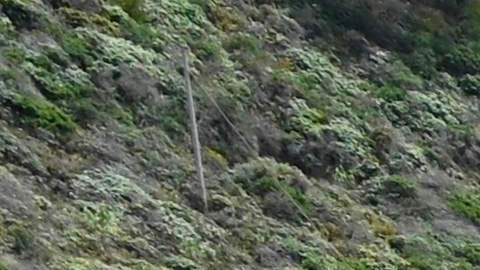 El puente Bixby Creek del Highway 1 cerca de Big Sur, California.