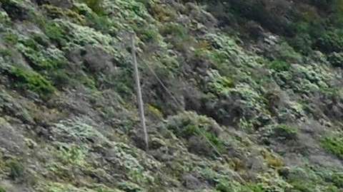 El puente Bixby Creek del Highway 1 cerca de Big Sur, California.