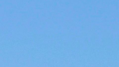 Delta incrementa la seguridad en sus vuelos con destino a Washington D.C.