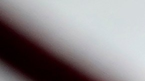 DeVos lamentó que en los últimos días de gobierno tengan que "limpiar el desastre".