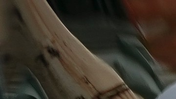 El presidente electo Joe Biden considera el sistema migratorio una de sus prioridades.