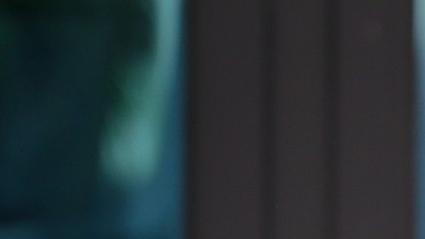 Melania Trump instala oficina en Florida.