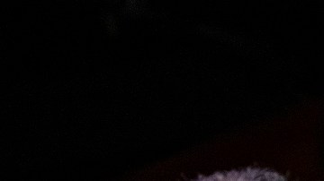 Los líderes demócratas en el Congreso.