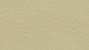 Alexandria Ocasio Cortez