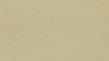 Alexandria Ocasio Cortez