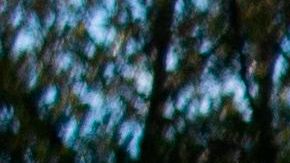 La gente visita el cementerio Green-Wood en el distrito de Brooklyn en Nueva York el 2 de enero de 2021.