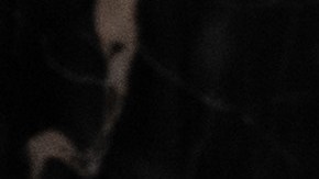 El vicepresidente Mike Pence rechazó tener influencia para bloquear certificación de la elección.