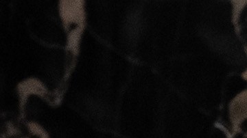 El vicepresidente Mike Pence rechazó tener influencia para bloquear certificación de la elección.