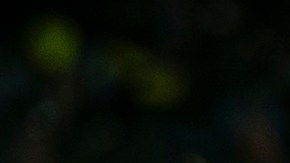 El presidente Trump no podría enfrentar juicio político después de terminar su mandato.