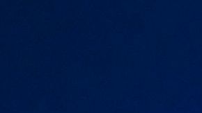 Joe Biden, presidente electo de EE.UU.