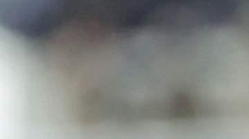 ¿Cuánto dinero tiene Joe Biden?