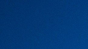 Protesta Antifa toma de posesion de Biden