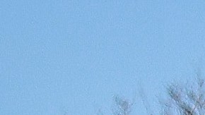 Protestas Biden Antifa Colorado