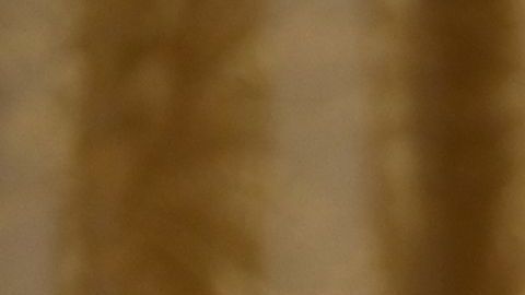 Biden firmó varios decretos en su primer día.