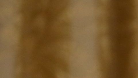 Biden firmó varios decretos en su primer día.